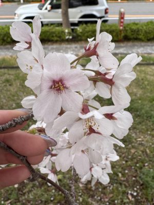 IMG_7648.jpeg